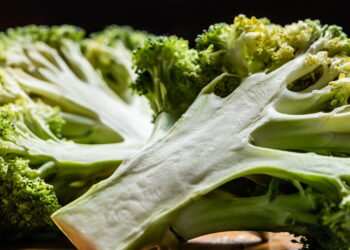 Cultivar brócolis na sua horta, passo a passo para plantar
