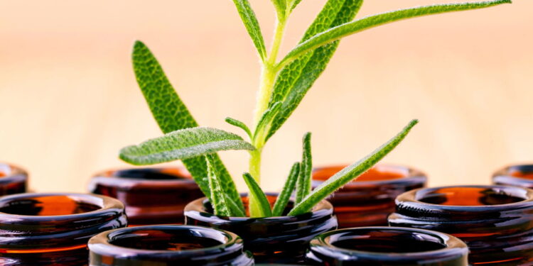 Benefícios dos óleos naturais para cuidar do cabelo
