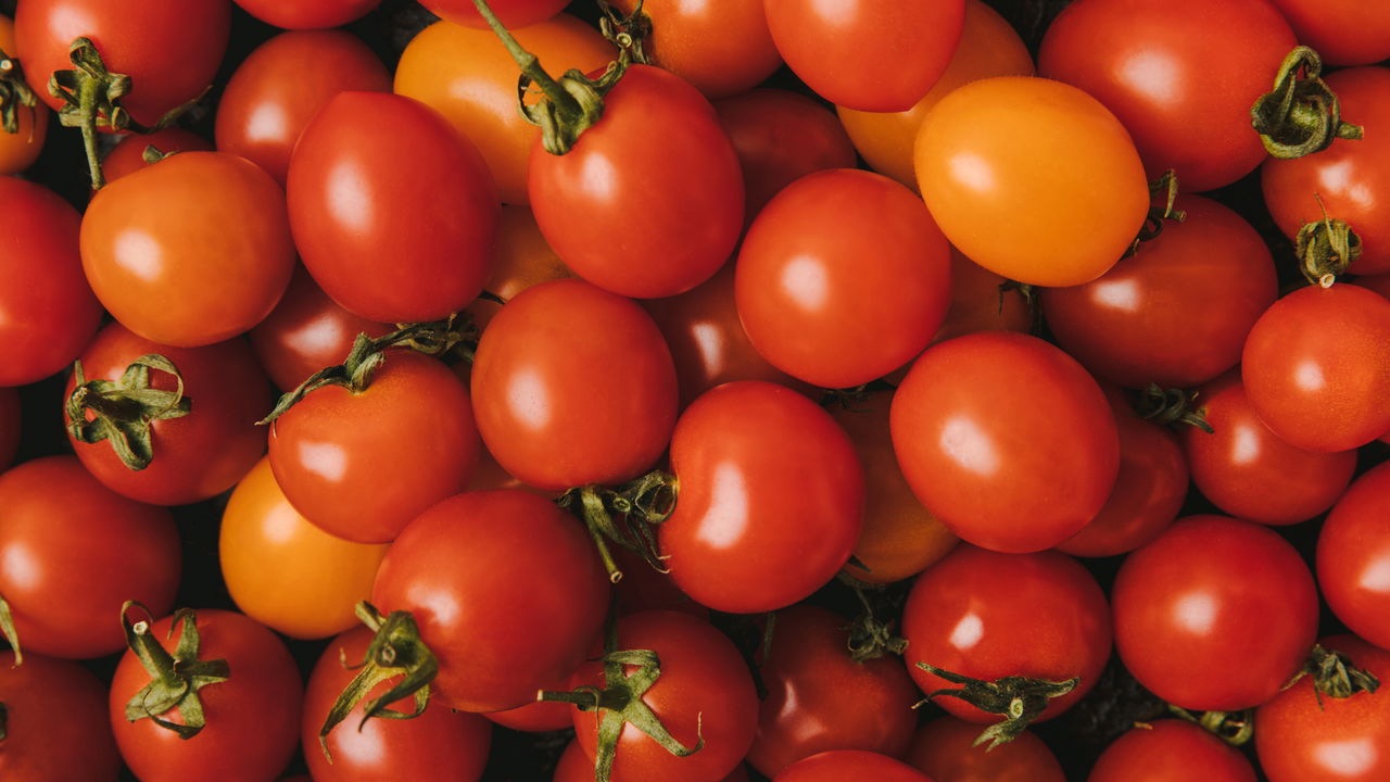 As melhores plantas para cultivar no verão e colher rápido em casa